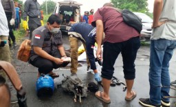 Duel Celurit Dua Pemancing di Sidoarjo, Satu Orang Tewas