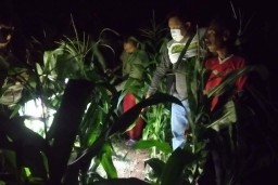 Diduga Diculik, Dua Bocah di Probolinggo Ditemukan di Kebun Jagung