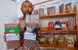 Keren, Beras Organik Banyuwangi Tembus Pasar Italia