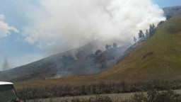 Bukit Teletubbies Gunung Bromo Terbakar