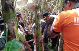 Jasad Bayi Laki-laki Ditemukan di Sungai Jombang
