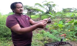Keren, Pria asal Gresik ini Hobi Melepas Burung ke Alam Bebas