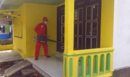 DBD Juga Terjadi di Probolinggo, 88 Warga Terjangkit, Satu Meninggal