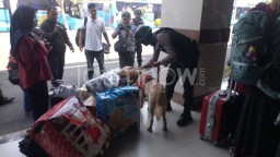 Barang Bawaan Penumpang di Pelabuhan Tanjung Perak Diperiksa K9