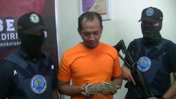 BNN Tangkap Satpam Pengguna Ganja Saat Ambil Paket
