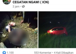 Viral Mobil Dikemudikan Gadis Cantik Terperosok dalam Sawah di Ngawi