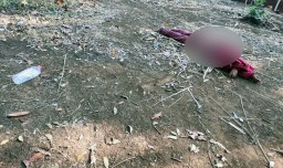 Pilihan Pembaca: Ditemukan Setengah Telanjang hingga Keluarga Begal