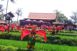 Tampil di Pematang Sawah, Tarian Gandrung Makin Memukau