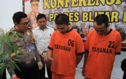 Begini Akal Bulus Penanam Ganja di Blitar Kelabuhi Polisi