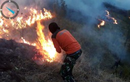 Gunung Arjuno Kembali Terbakar, Titik Api Muncul di Blok Curah Seriti