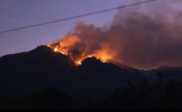Angin dan Jurang Hambat Pemadaman Api yang Membakar Gunung Arjuno