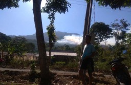 Hutan Pinus di Sisi Timur Gunung Lawu Terbakar