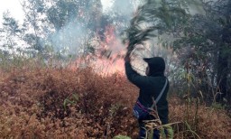 10 Hektar Hutan di Gunung Penanjakan Bromo Terbakar
