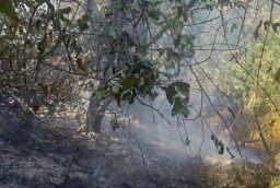 Pembukaan Pendakian Gunung Semeru Belum Dapat Dipastikan