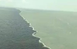 Fenomena Halocline Juga Pernah Terjadi di Laut Pasuruan