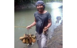 Ikan Uceng Penghuni Sungai Setail Banyuwangi yang Kini Menghilang