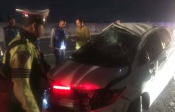 Honda Jazz Berpenumpang Empat Orang asal Gresik Terguling di Tol Sumo