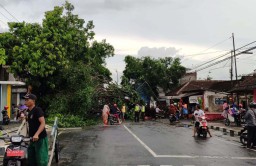 Hujan Angin, Sejumlah Rumah di Blitar Rusak Tertimpa Pohon dan Tower