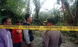 Satu Orang Tewas Tertimpa Pohon Akibat Hujan Angin di Kediri