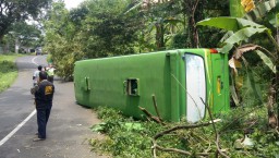 Bus Pariwisata Bermuatan Siswa SD Terguling di Pasuruan