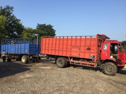 Pemotor asal Wonogiri Dilindas Avanza di Ponorogo
