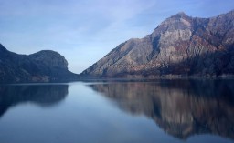 Terpapar Gas Beracun Kawah Ijen, Banyak Tanaman dan Sayur Mati