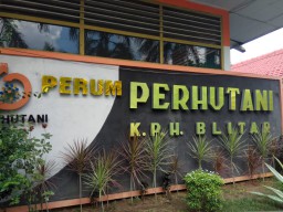 Dua Bulan, Pembalak Liar di Blitar Gondol Kayu Senilai Rp 100 Juta