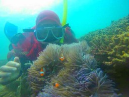 Yukk Wisata ke Pantai Bangsring, Lihat Ikan Nemo dan Hiu-Hiu Kecil