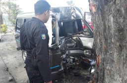 Diduga Ngantuk, Mobil Carry Tabrak Pohon, Pengemudi Tewas