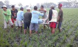 Tragis, Petani Tewas Tersengat Listrik Jebakan Tikus