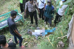 Misno Ditemukan di Bawah Pohon Alba, Begini Posisi Jasadnya