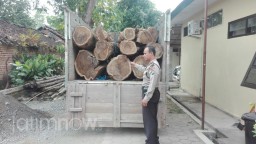 Polisi Ringkus Komplotan Pencuri Kayu Jenis Sonokeling