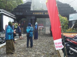 Lereng Gunung Lawu Terbakar, Semua Pintu Pendakian Ditutup