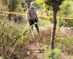 Kerangka Manusia Ditemukan di Hutan Selogiri Banyuwangi