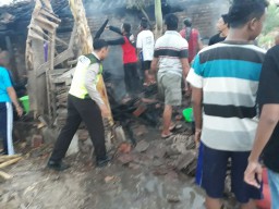 Kandang Ternak di Ponorogo Terbakar, 35 Ekor Bebek Mati Terpanggang