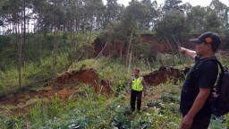 1 Hektar Lahan Perhutani di Ponorogo Tiba-tiba Longsor