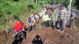 400 Hektar Lahan Pertanian di Banyuwangi Terancam Terbengkalai