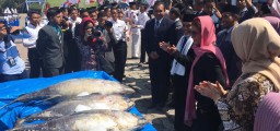 Masuk Bursa Cawapres, Menteri Susi: Itu Rommy Takut Saya Tenggelamkan
