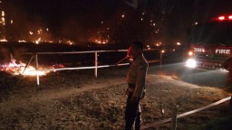 Foto : Gudang Berisi 91 Ton Tembakau Ludes Terbakar di Jember