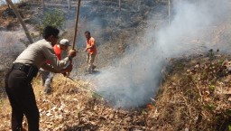 Asyik Mencari Rumput di Lereng, Kakek Wagimin Tak Sadar Dikepung Api
