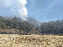 Pascakebakaran, Akses Pendakian ke Gunung Butak Masih Ditutup