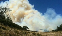 Lereng Gunung Lawu Terbakar, Semua Pintu Pendakian Ditutup