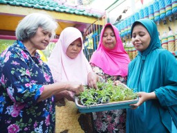 Manfaatkan Lahan Sempit, Berkreasi dengan Botol untuk Hijaukan Kampung