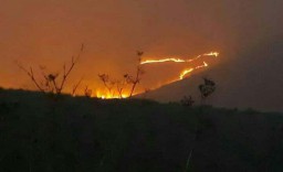 Kebakaran di Gunung Bromo, Dua Titik Api Sulit Dipadamkan