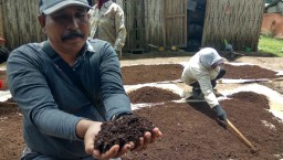 Memanfaatkan Kulit Kopi Menjadi Pupuk Organik