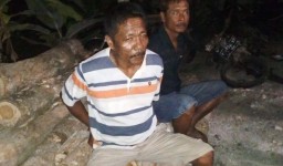 Buronan Pencuri Kayu Jati Tertangkap Polisi