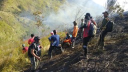 Sebulan, 140 Hektar Lahan Perhutani di Mojokerto Terbakar