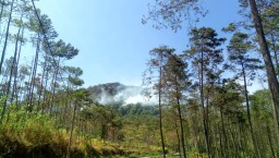 Gunung Penanggungan Terbakar, Jalur Pendakian via Mojokerto Ditutup