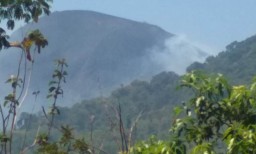 Kebakaran Hutan di Lereng Gunung Penanggungan Masih Belum Teratasi