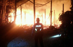 Kandang Terbakar, 7 Ribu Anak Ayam Mati Terpanggang